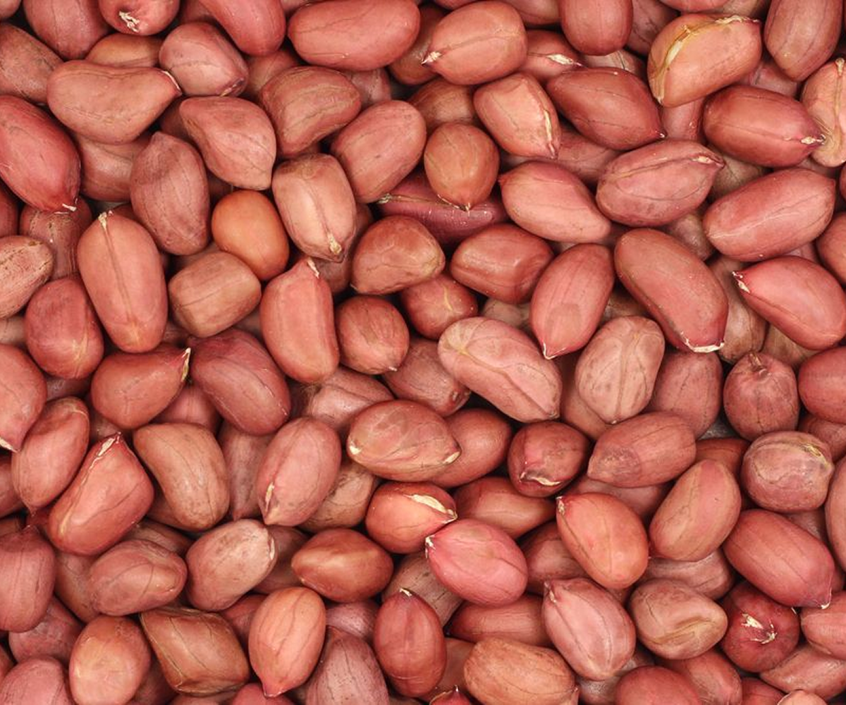 Groundnut (Peanut Kernels)